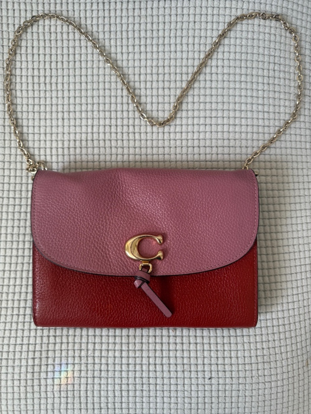 Woman’s purse